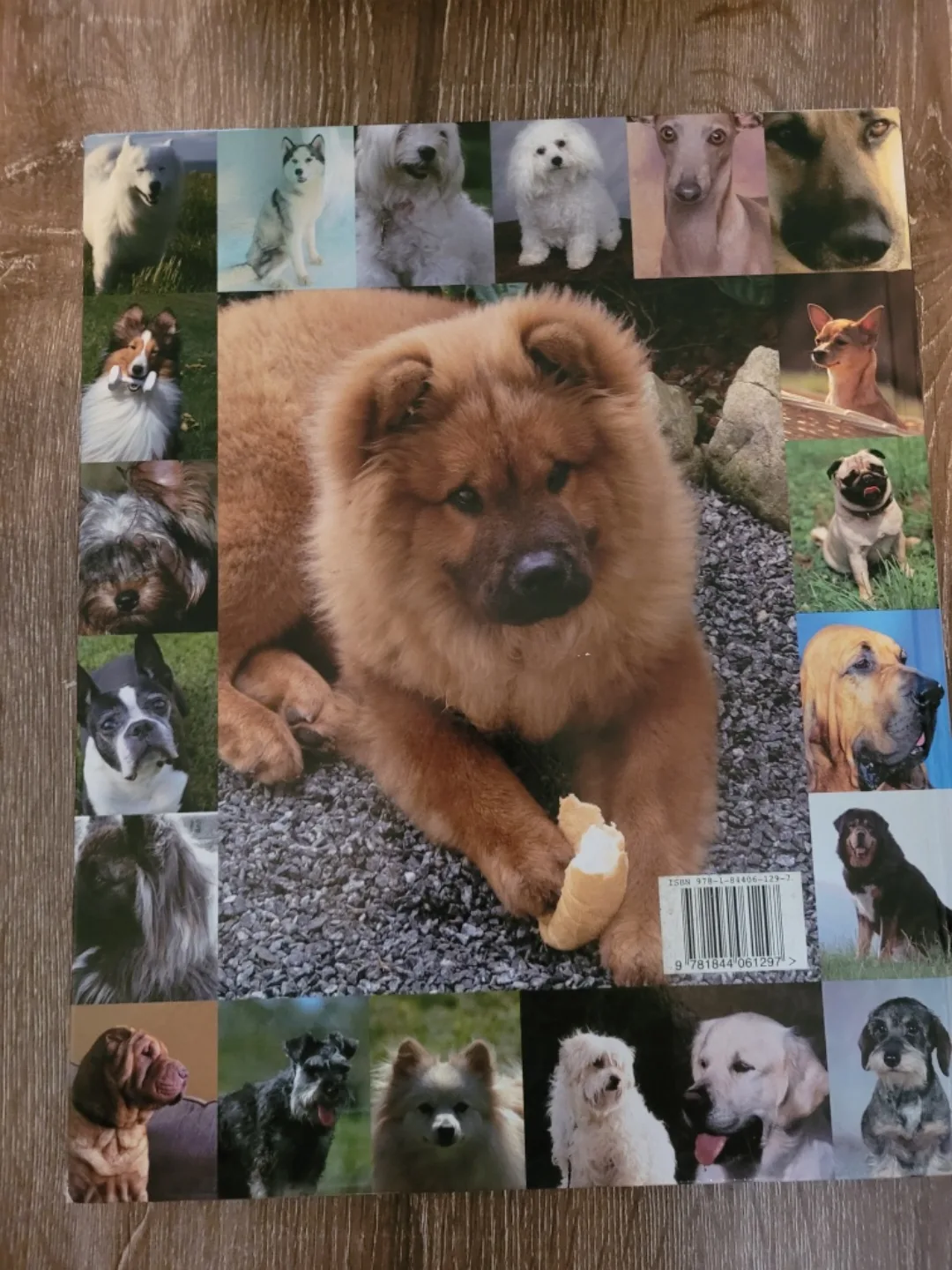 DOGS by Margaret Keenan image indicator(2)