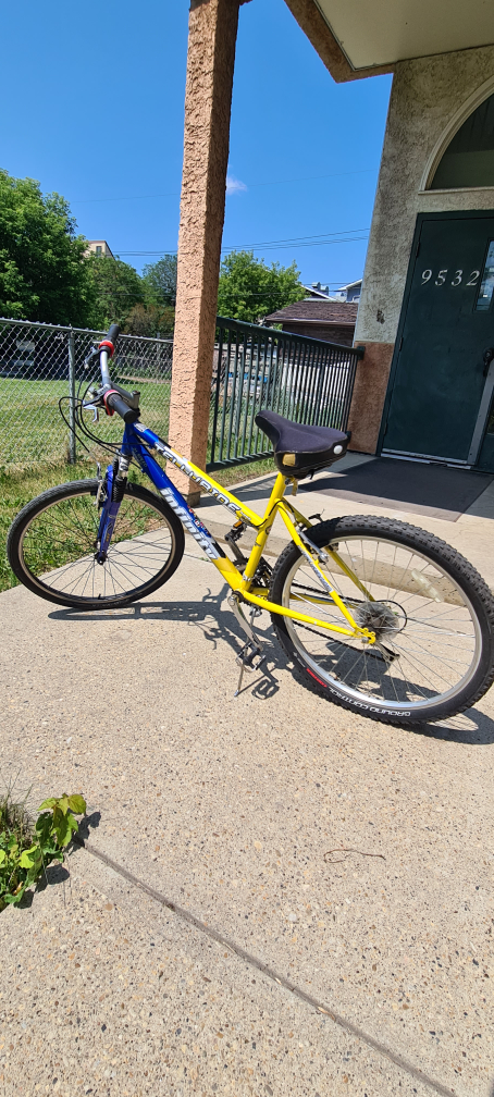 Mountain Bike