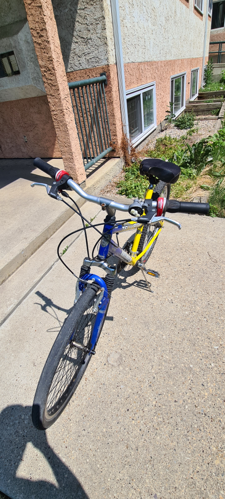 Mountain Bike - photo 2
