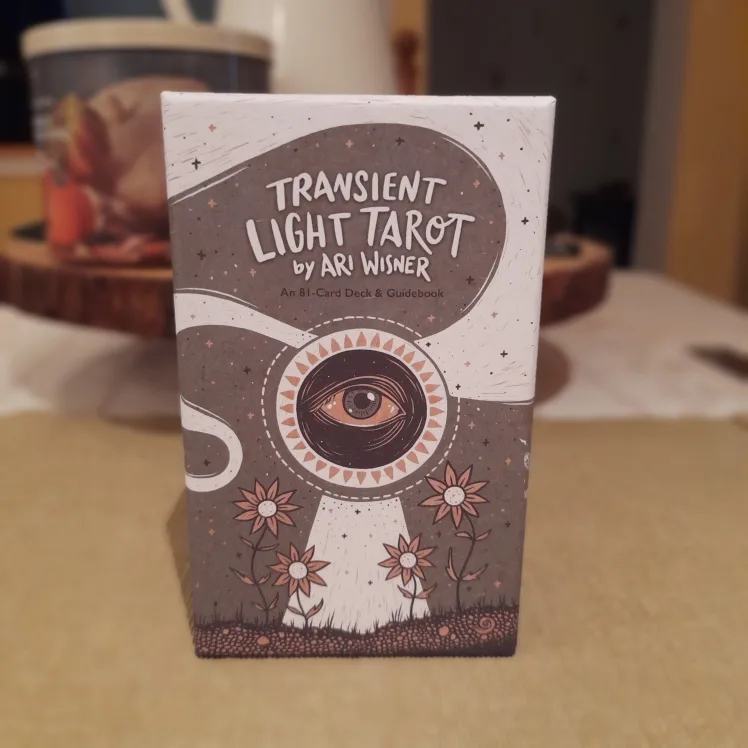 Transient Light Tarot by Ari Wisner thumbnail