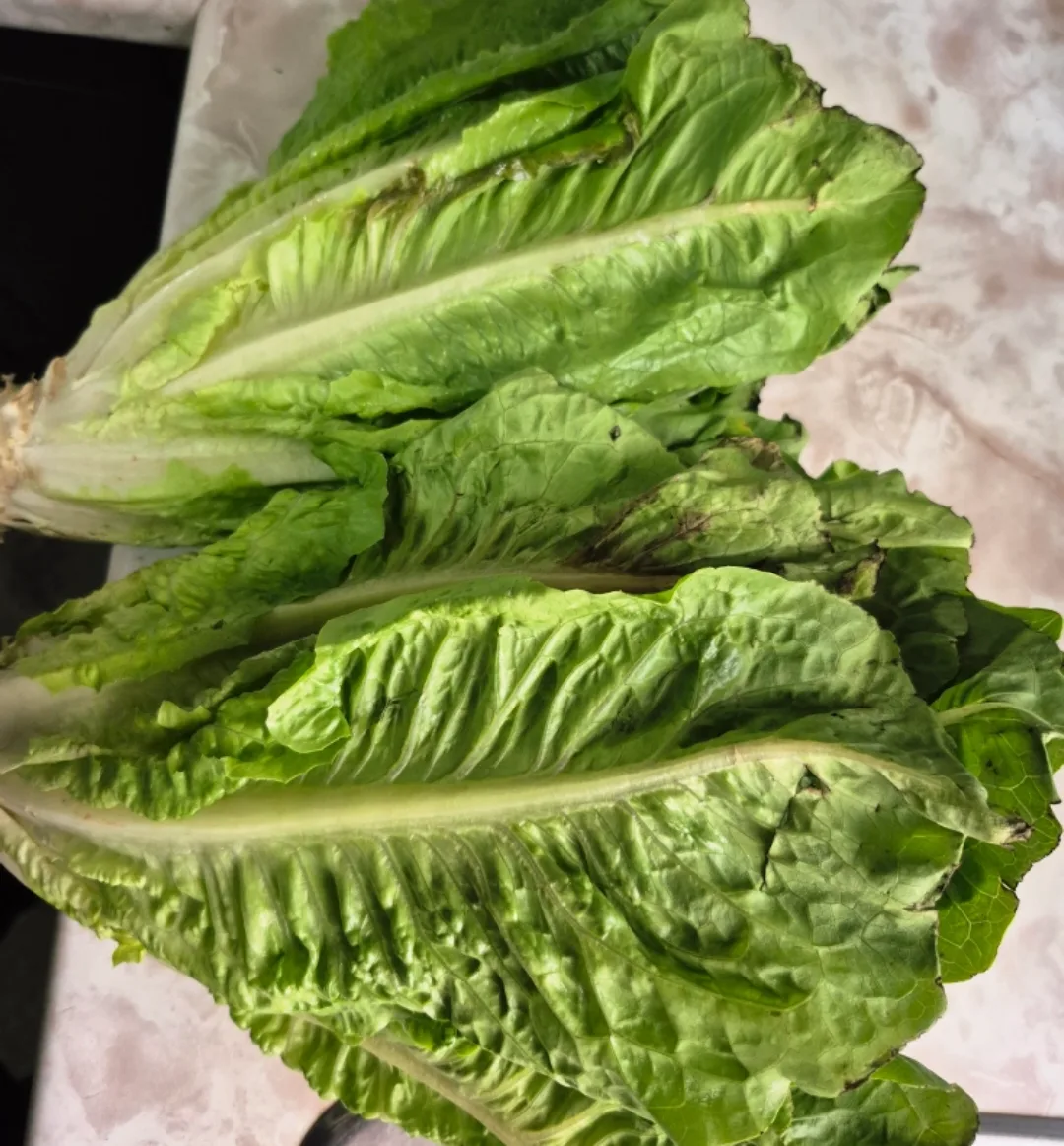 food items image indicator(3)