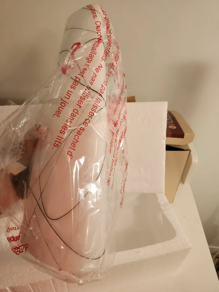 New Hampton Bay wall Light image indicator(3)