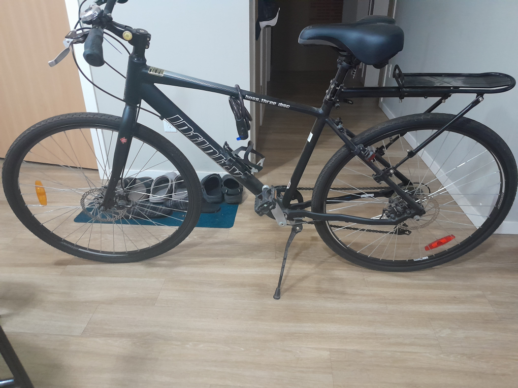 Infinity Boss Three Disc Hybrid Bike