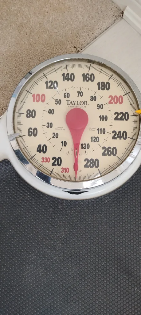 Taylor Professional Scale image indicator(2)