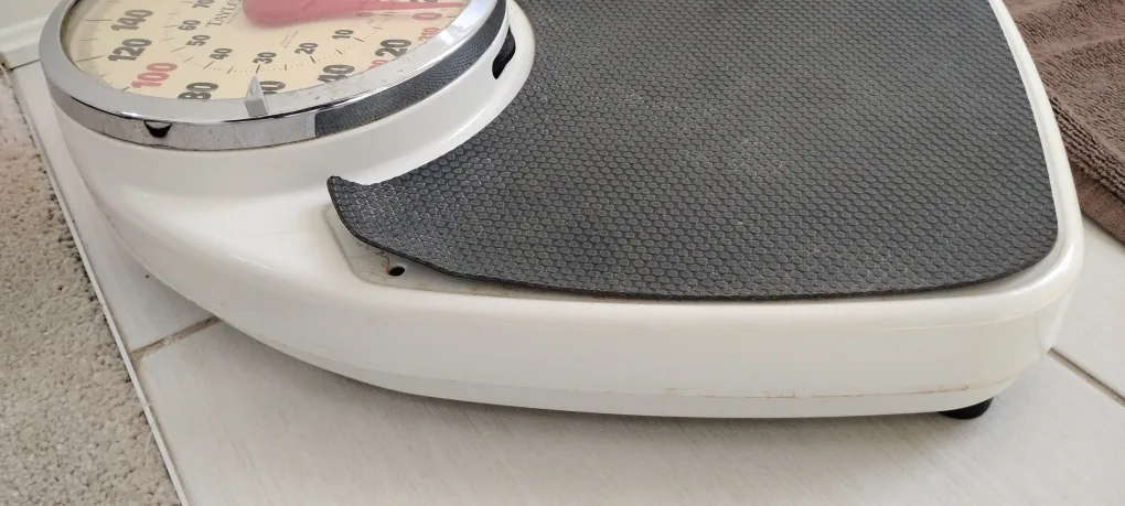 Taylor Professional Scale image indicator(3)