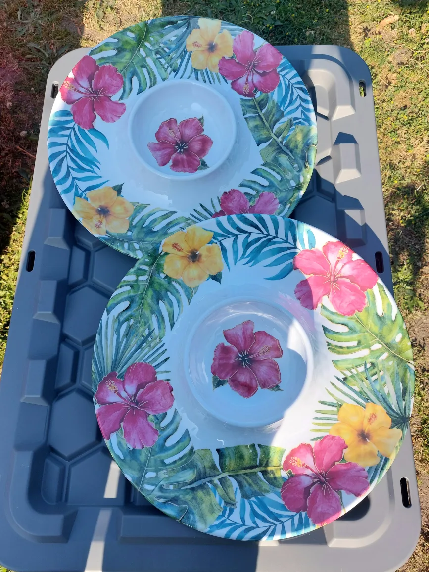 new Chip and dip dishes $4 each thumbnail