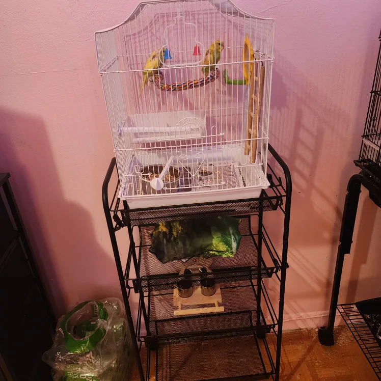 Bird Cage with Stand thumbnail