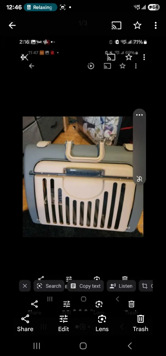 Petmate Cat Carrier thumbnail