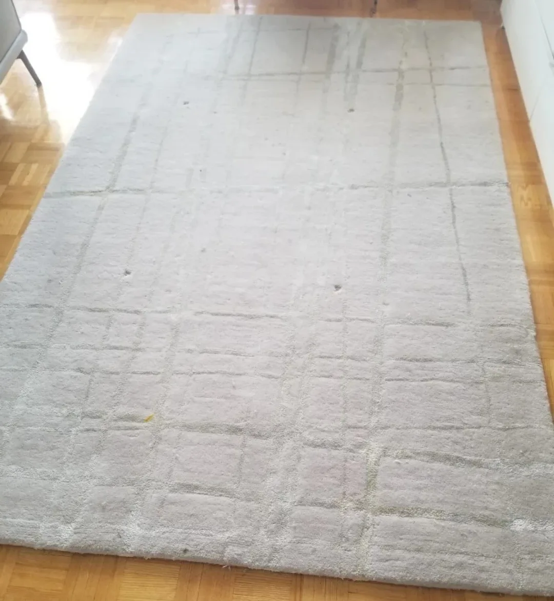 Used Beige Area Rug 5 x 8 image indicator(2)