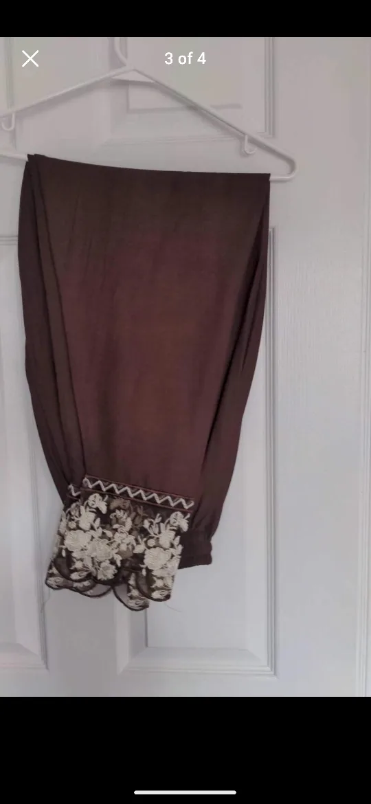 Pakistani Salwar kameez image indicator(3)