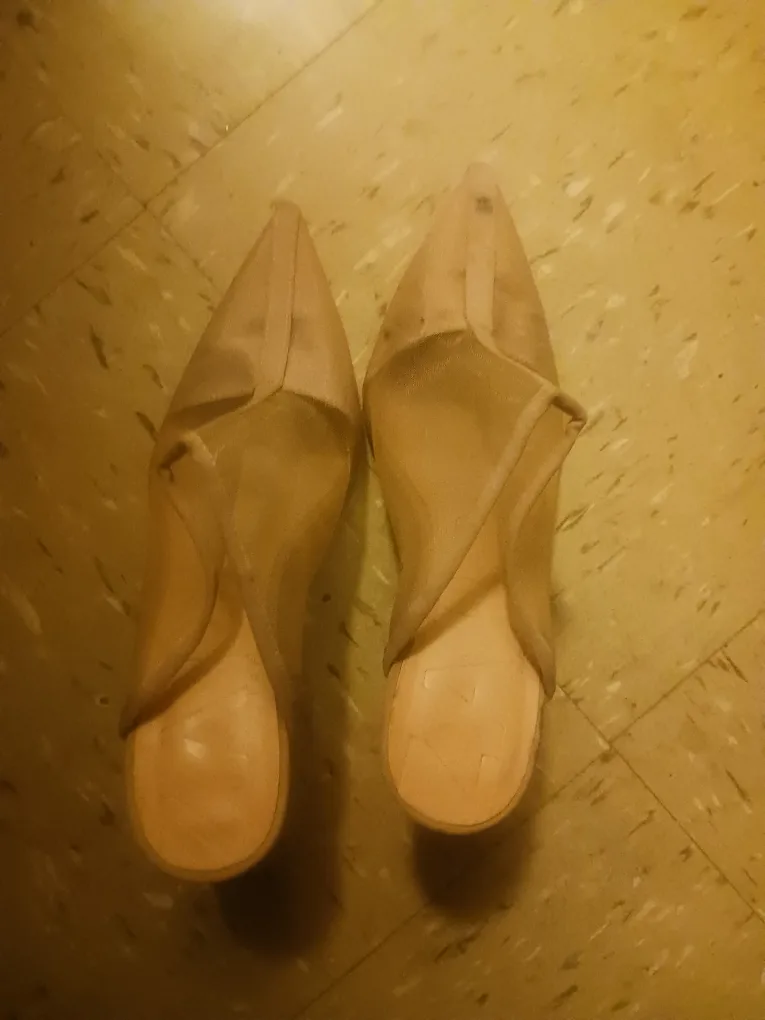 🥕🥕🥕🥕Zara Beige Pointed Mules - Size 37 thumbnail