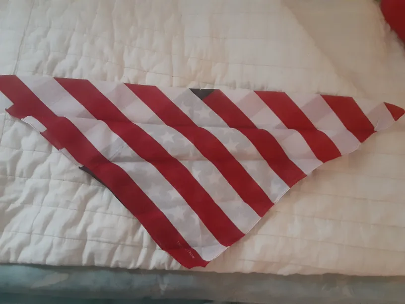 American Flag Bandana for Dog image indicator(2)