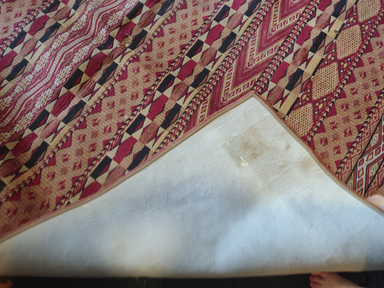 Patterned Area Rug Egyptian - photo 4