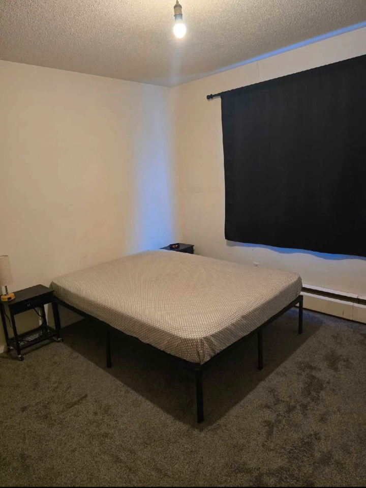 roommate wanted