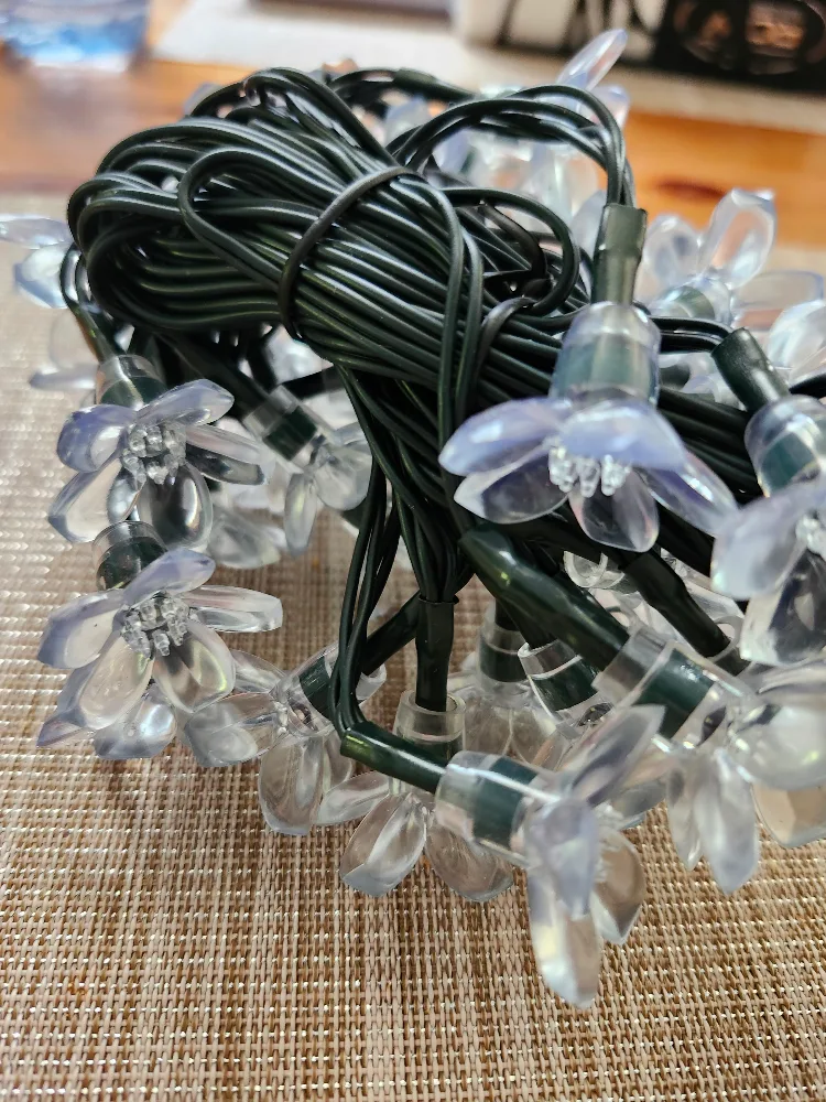 50 Flower String Lights thumbnail