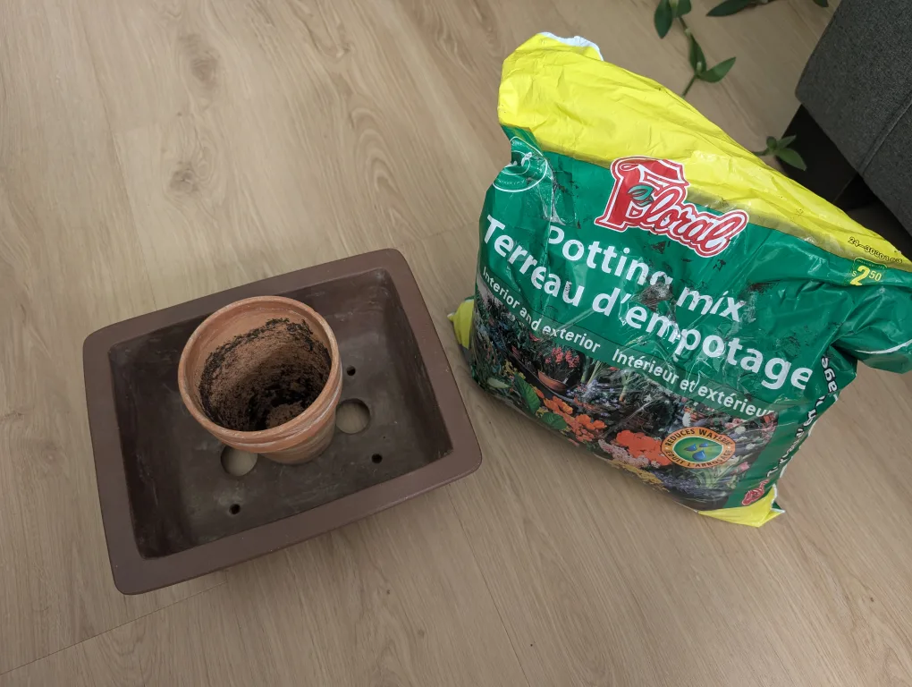 Flower pot, planter, and soil thumbnail