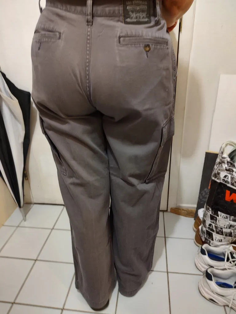 Levi Strauss & Co. Grey Cargo Pants image indicator(6)