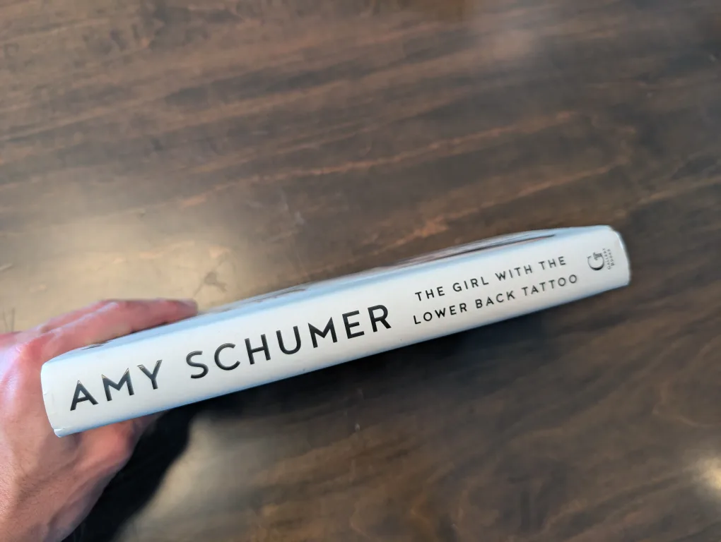 The Girl with the Lower Back Tattoo by Amy Schumer image indicator(3)