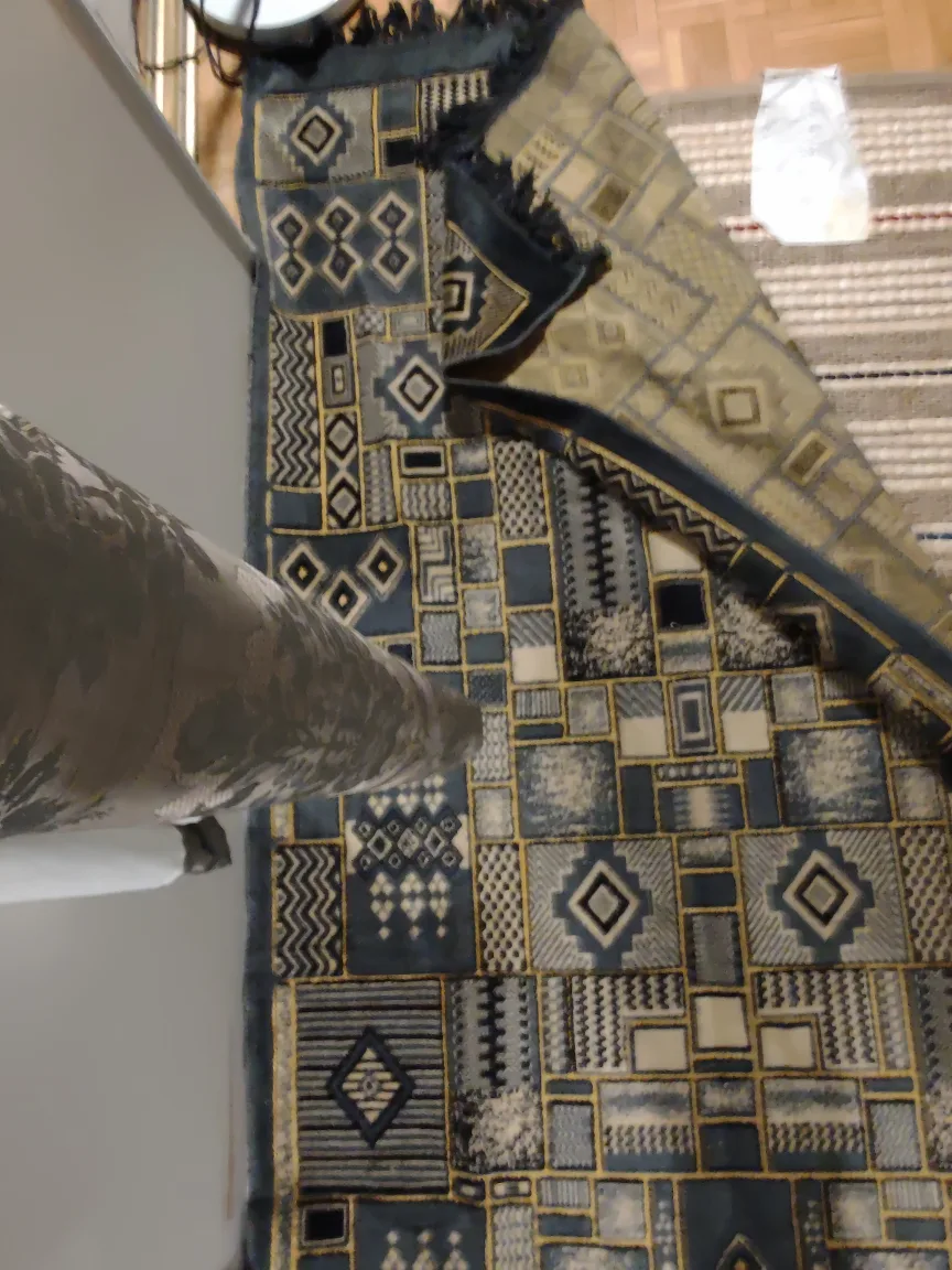 Patterned Rug Runner Carpet Tapis image indicator(2)