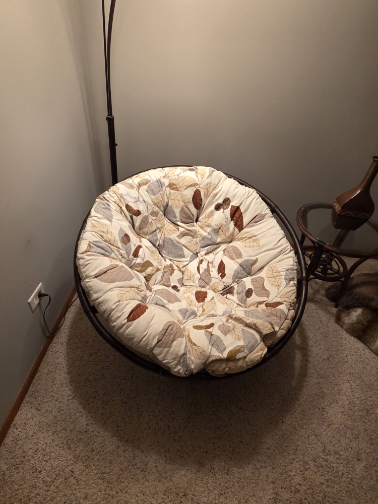 Papasan Chair with Cushion