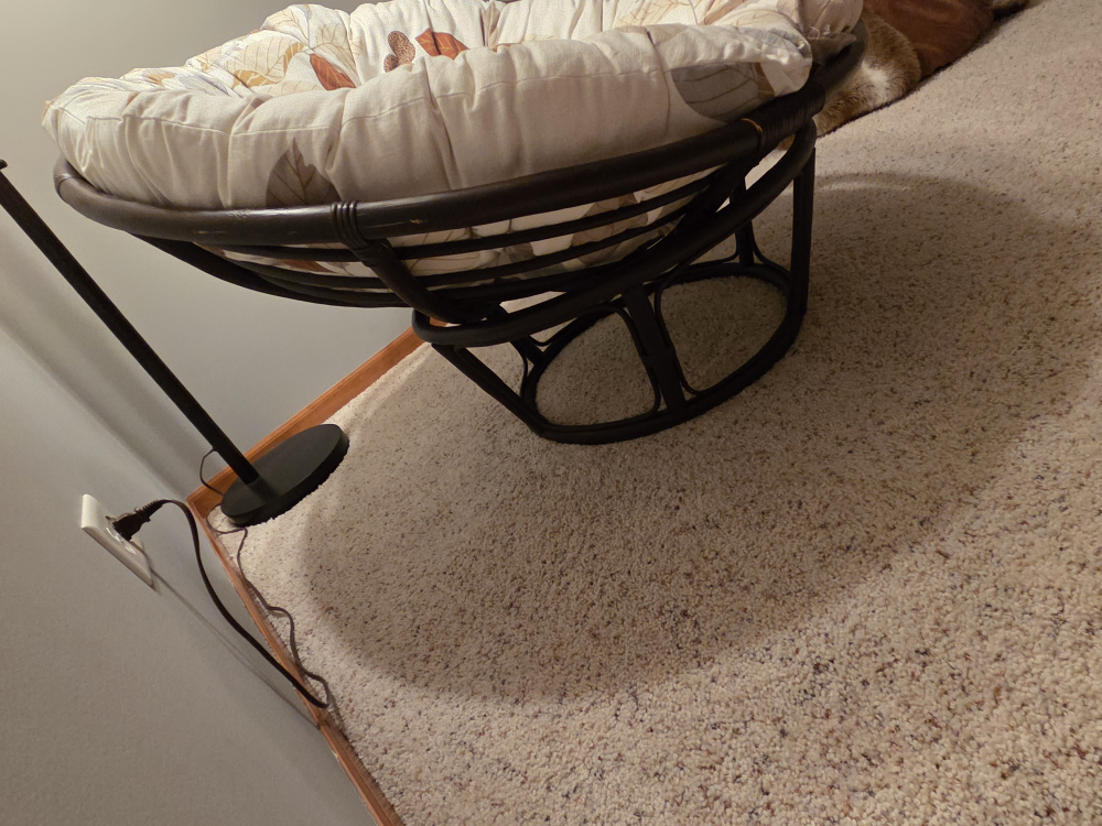 Papasan Chair with Cushion - photo 2
