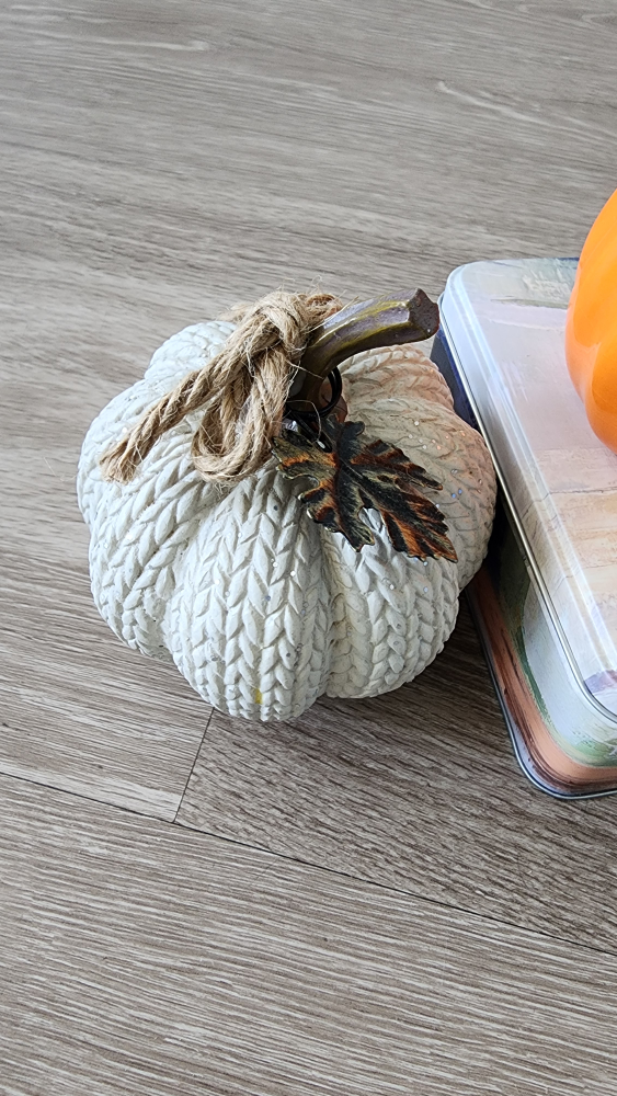 URGENT *Moving Sale* Succulent Plant, Planter & Pumpkins - photo 4