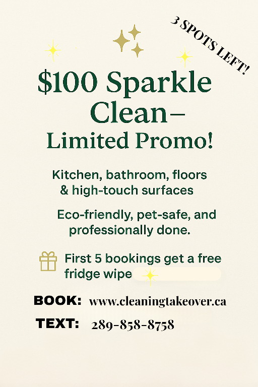 Cleaning Promo!