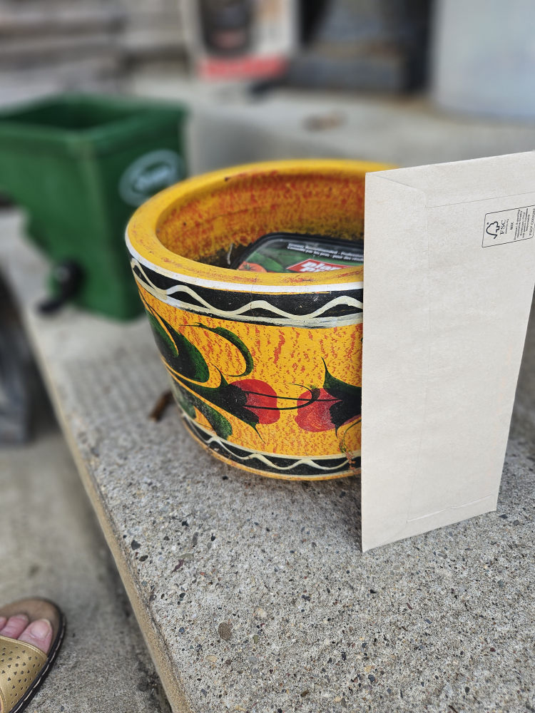 Mexican Flower Pot and plant food - photo 3