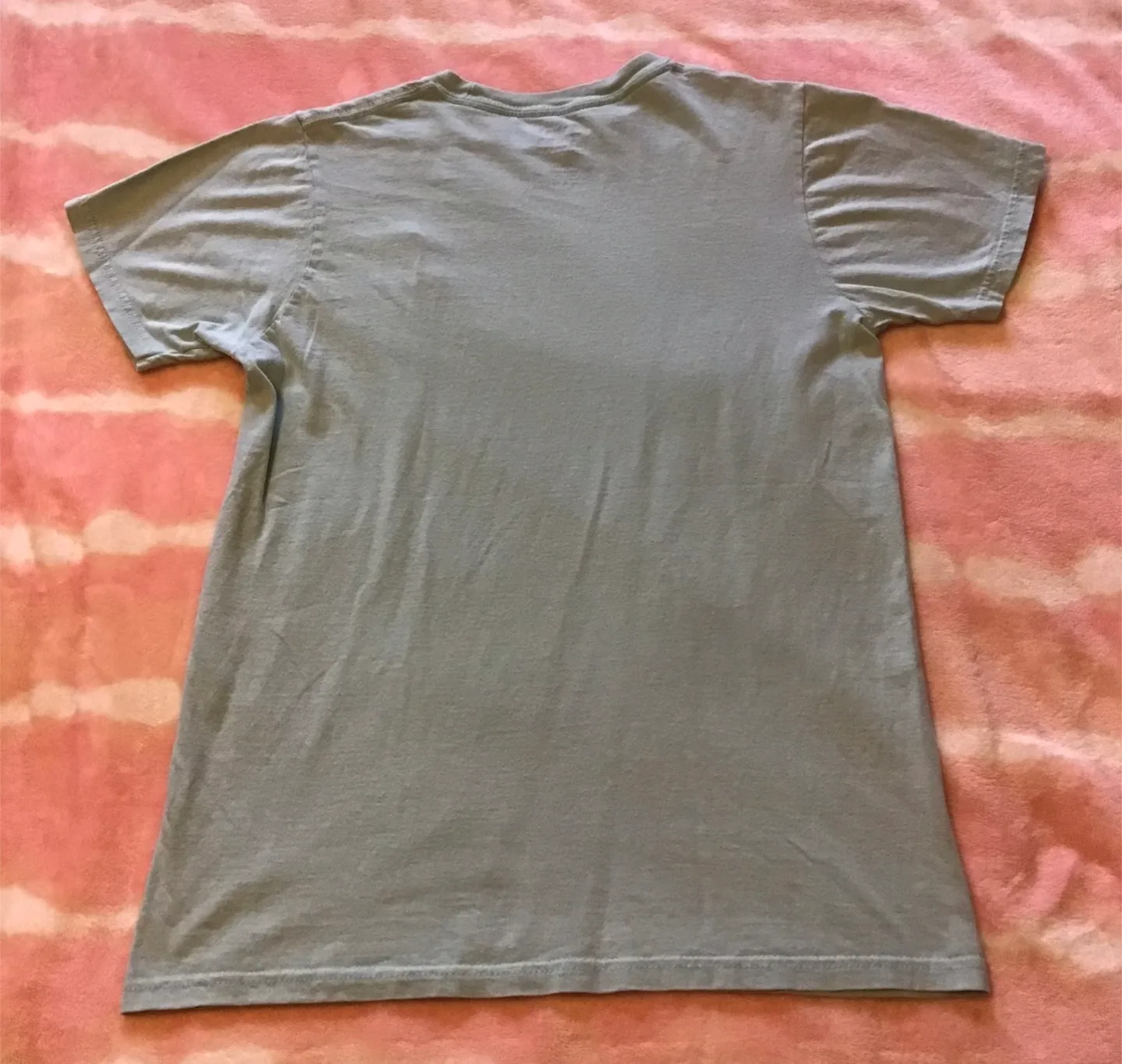 🤩 Teal T-Shirt with Chili Pepper Logo image indicator(2)