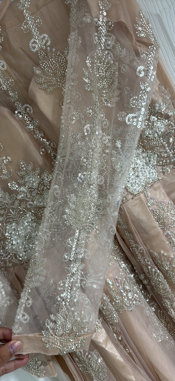 Beaded Formal Dress Pakistani - photo 4