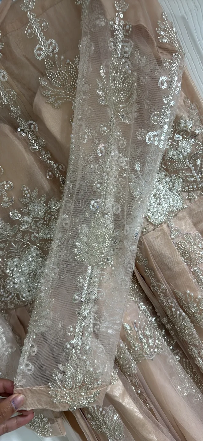 Beaded Formal Dress Pakistani image indicator(4)