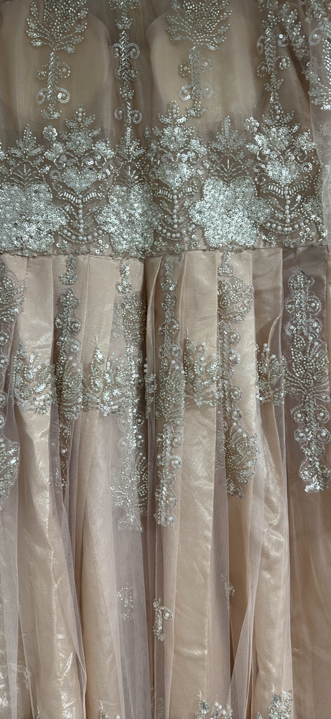 Beaded Formal Dress Pakistani