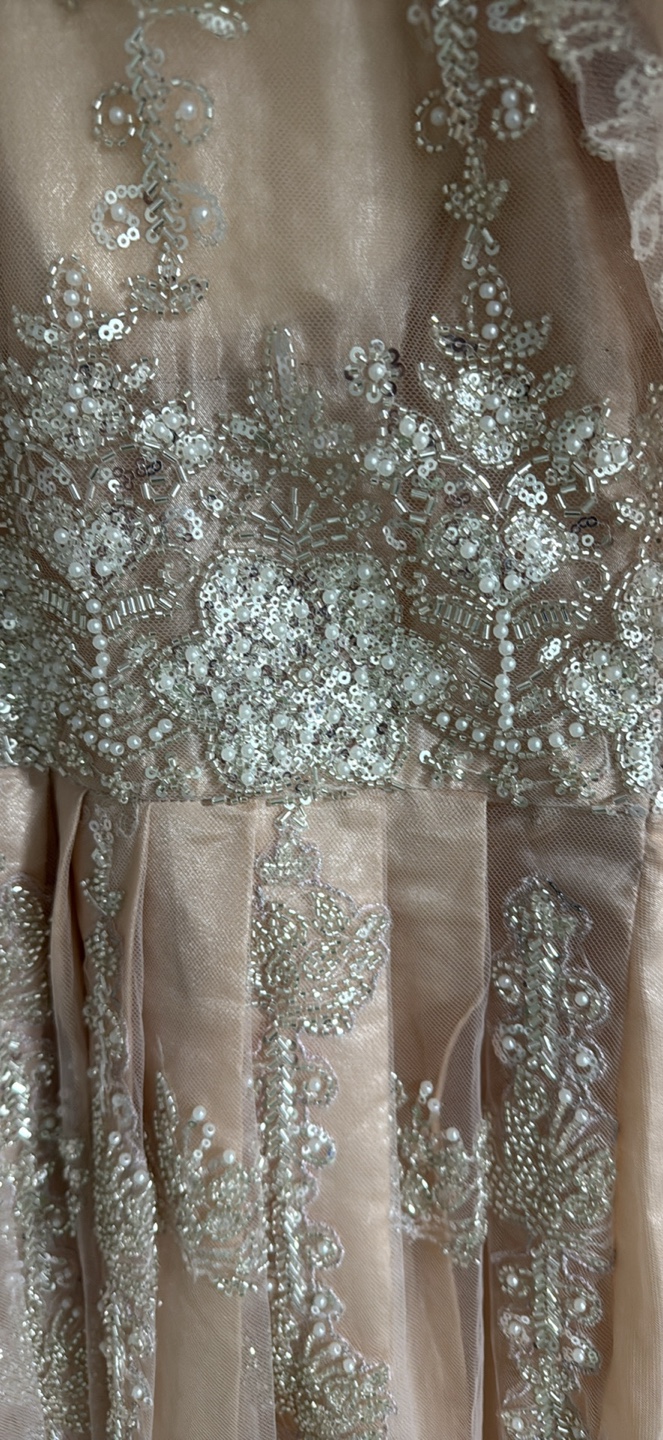 Beaded Formal Dress Pakistani - photo 3