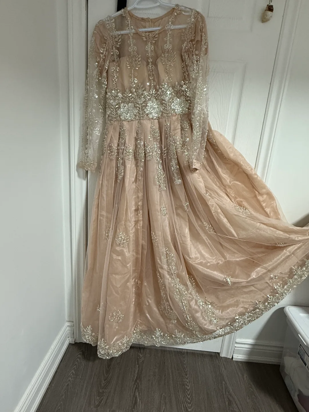 Beaded Formal Dress Pakistani image indicator(6)