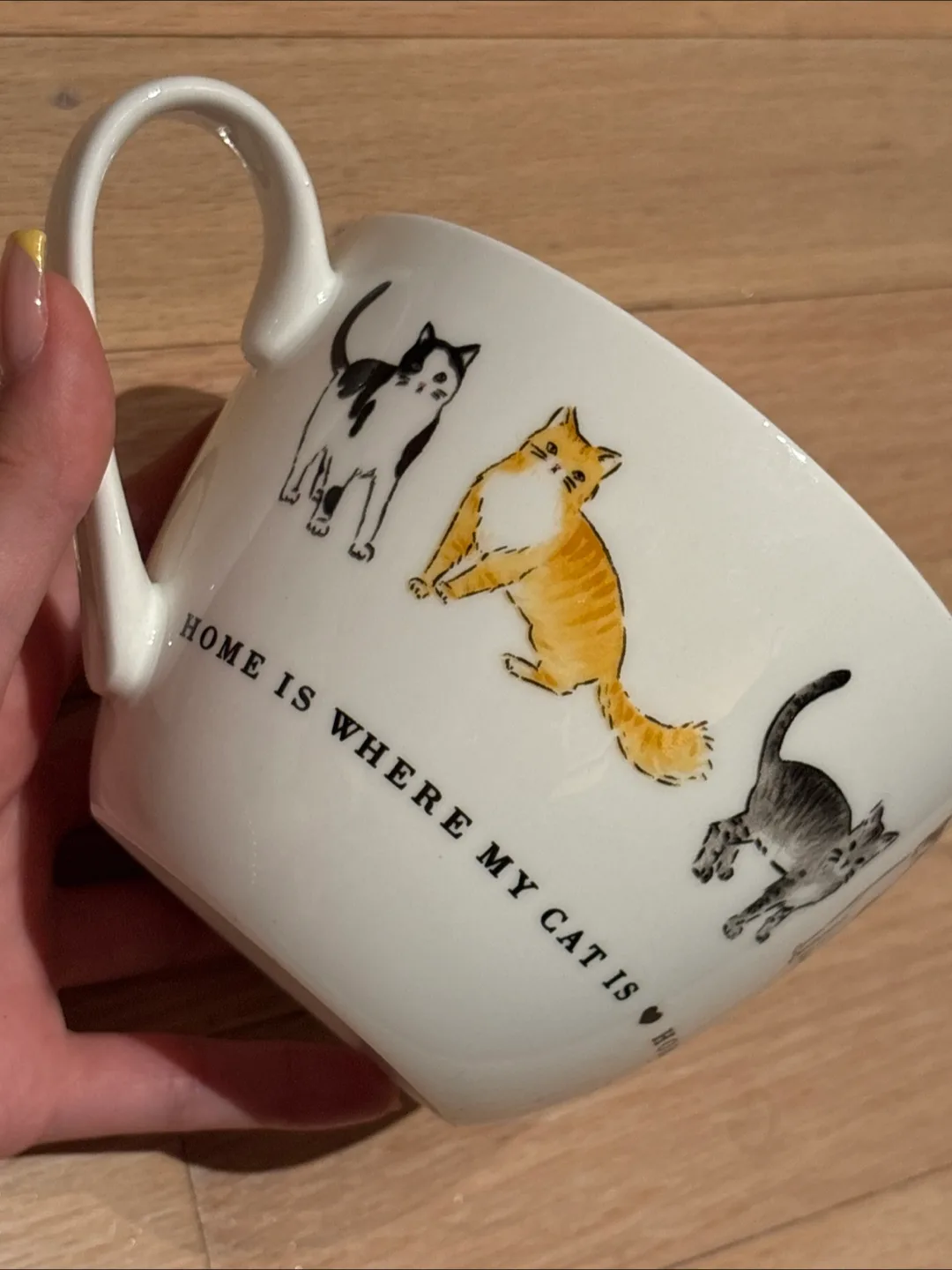Homesense Portobello By Inspire Cat Mug thumbnail