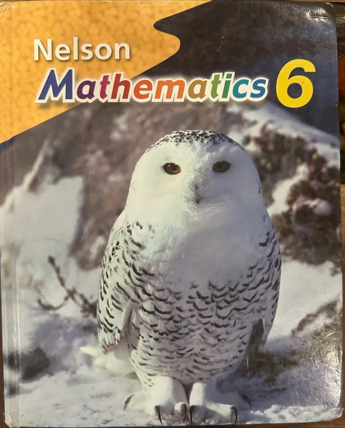 Nelson Mathematics 6 Student Textbook thumbnail