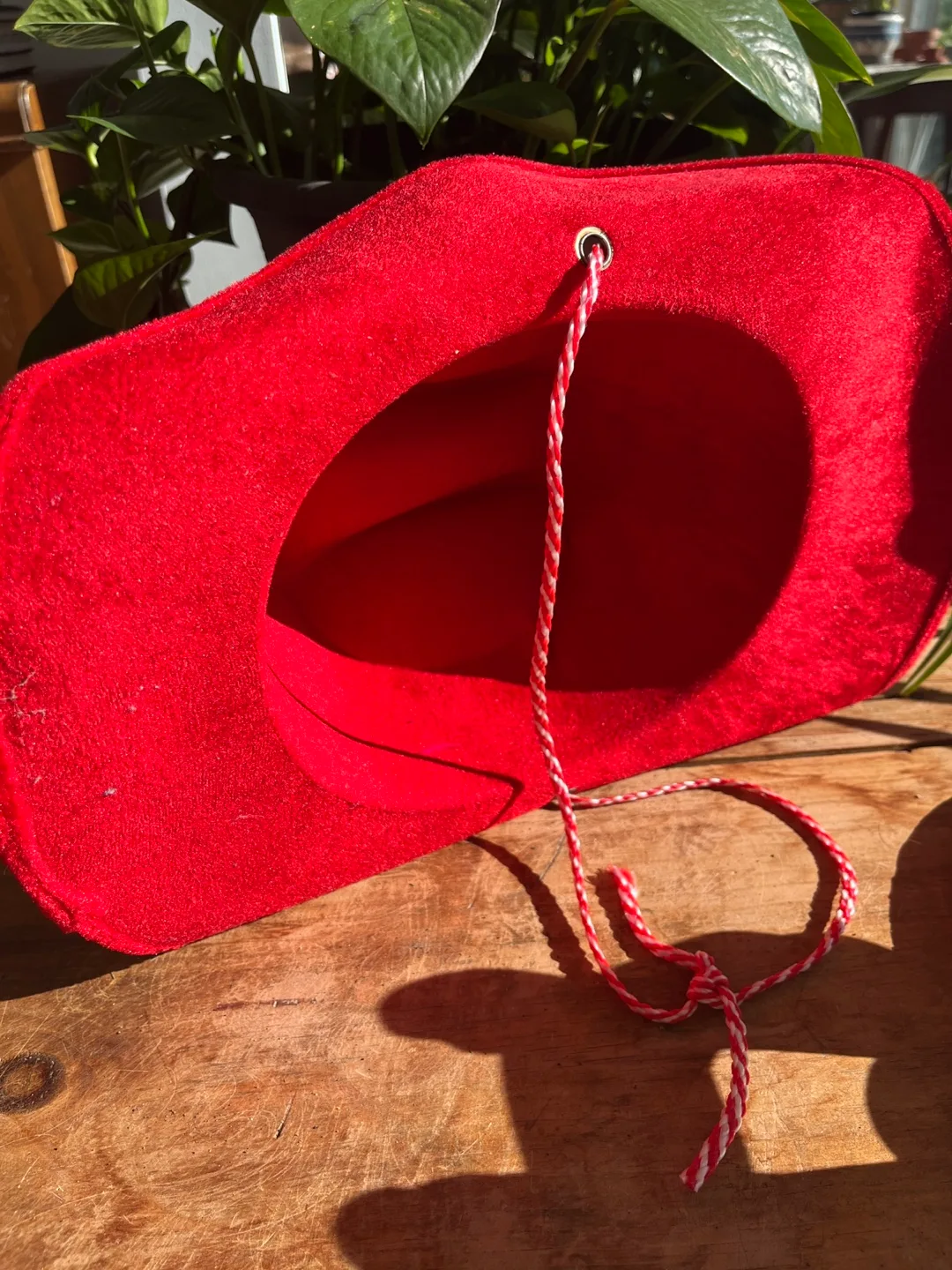 Canada cowboy hat image indicator(2)