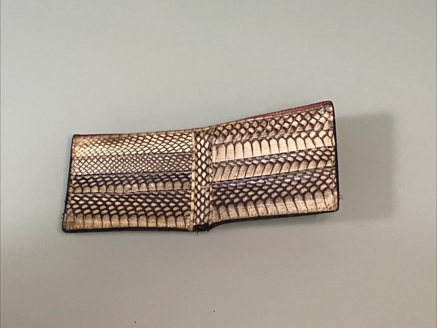 Snakeskin Wallet image indicator(3)