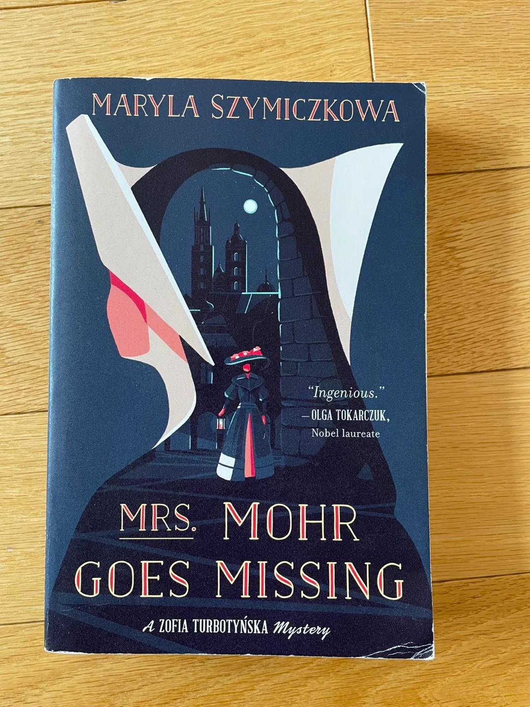 Fiction Novel - Mrs. Mohr Goes Missing thumbnail