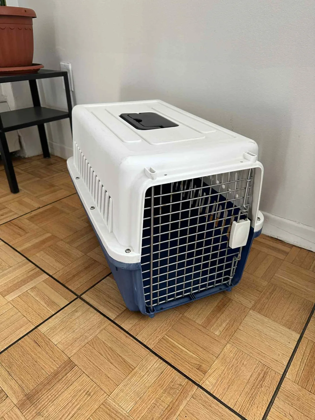 Pet Carrier Kennel - Blue & White thumbnail