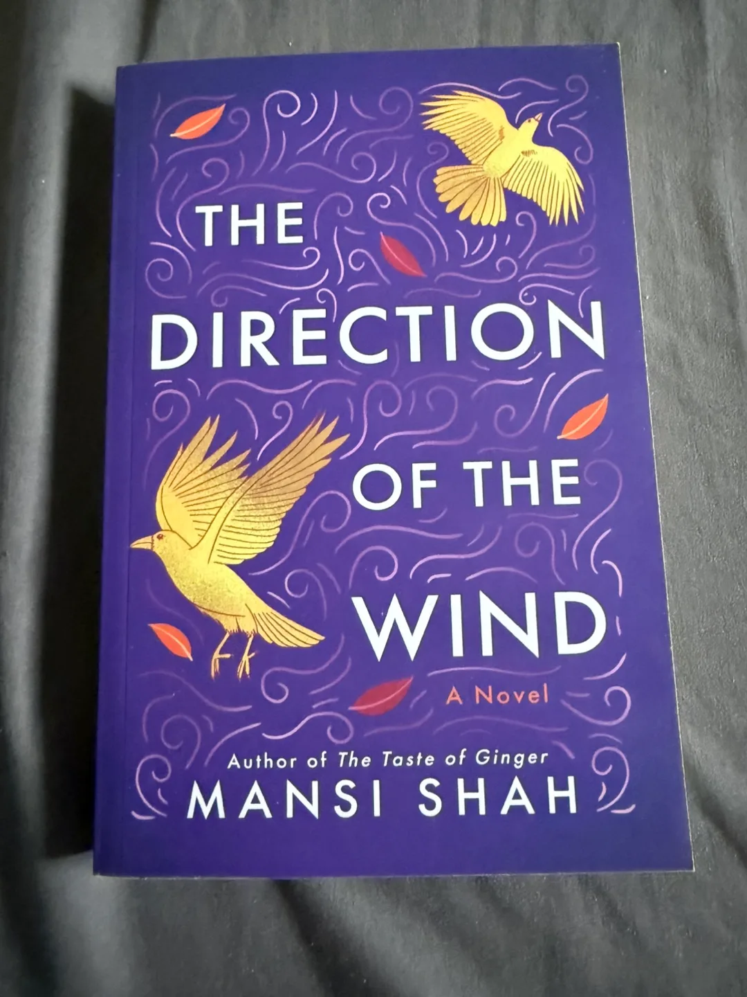The Direction of the Wind by Mansi Shah thumbnail