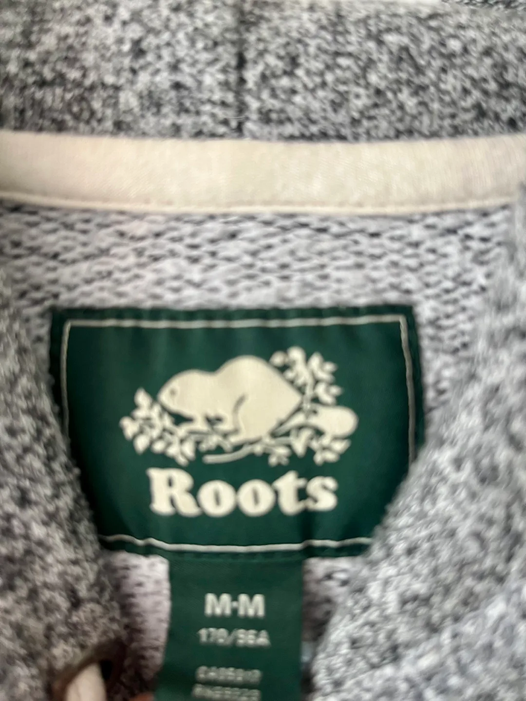 Roots Hoodie - Size M image indicator(2)