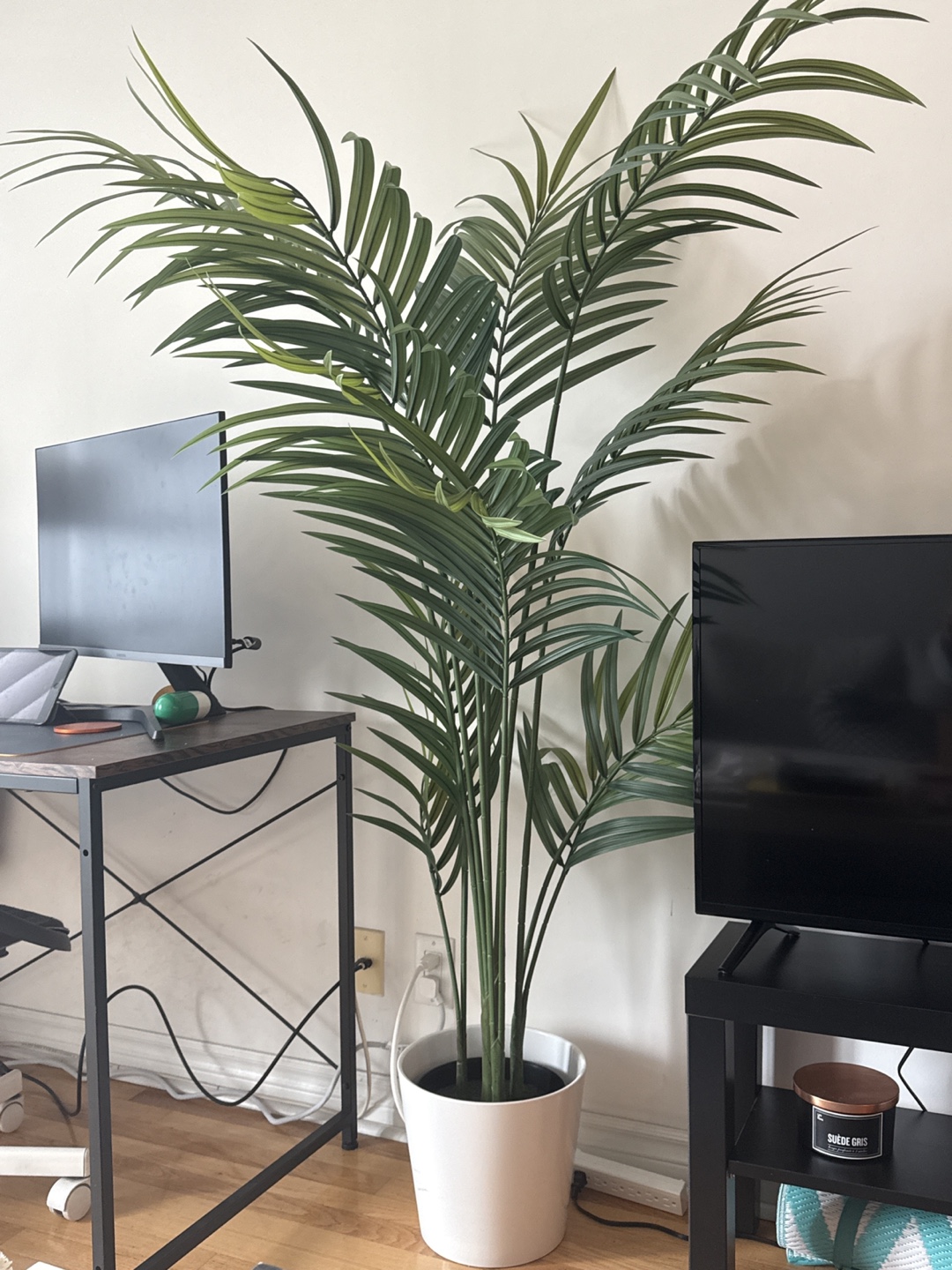 IKEA FEJKA Artificial Kentia Palm & White Base