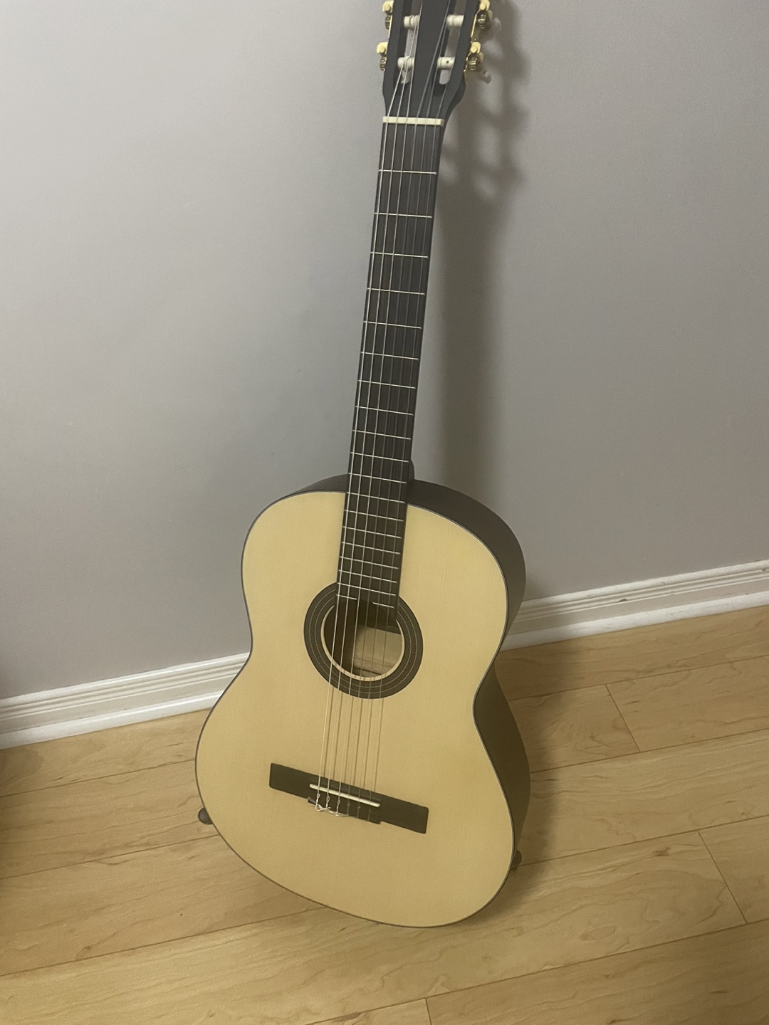Classical Guitar with Gig Bag & Accessories