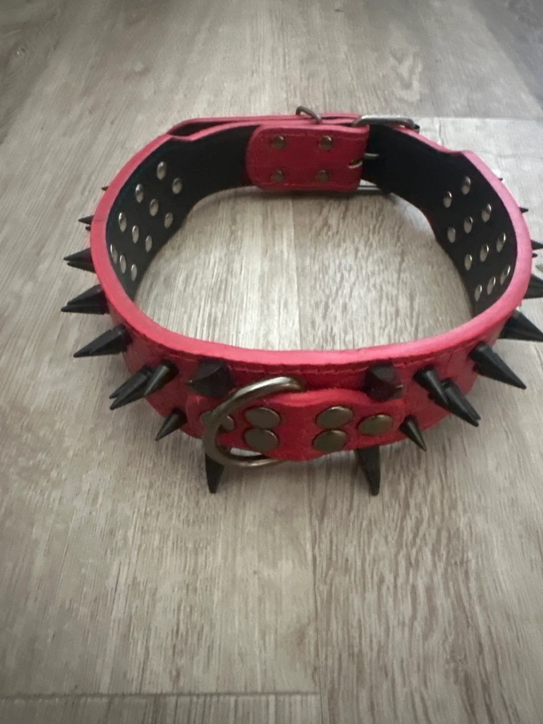 Red Spiked Dog Collar thumbnail