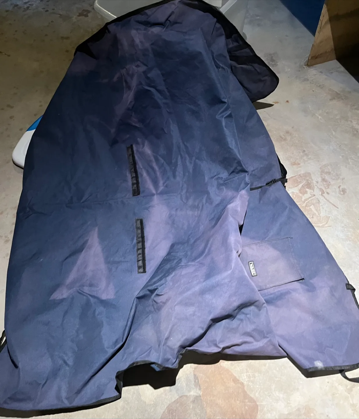 Dog car seat cover- Blue image indicator(2)