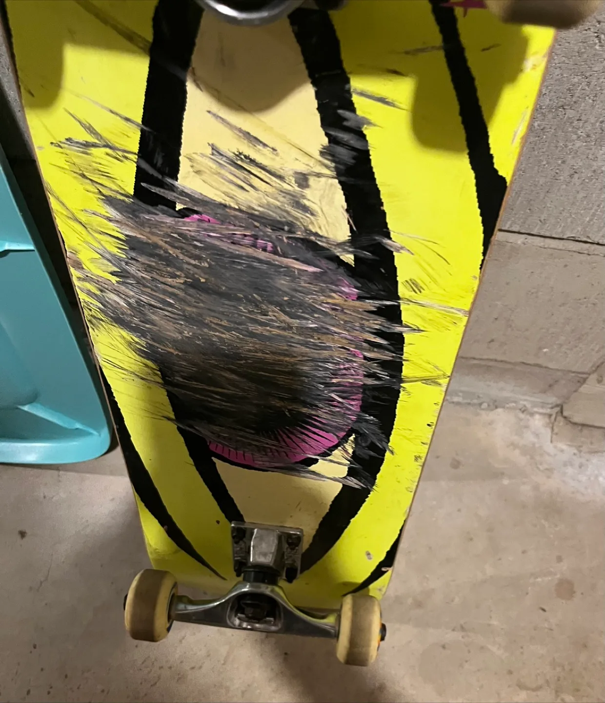 Toy Machine Skateboard - Used image indicator(4)