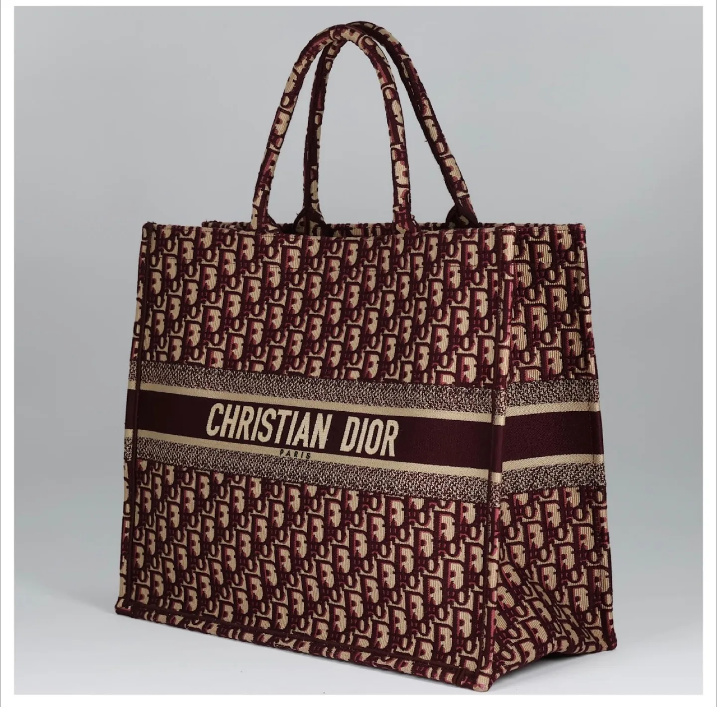 Christian Dior Book Tote Bag thumbnail