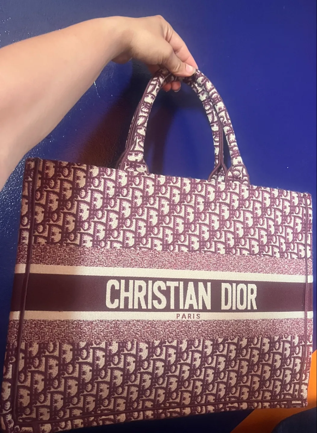 Christian Dior Book Tote Bag image indicator(2)