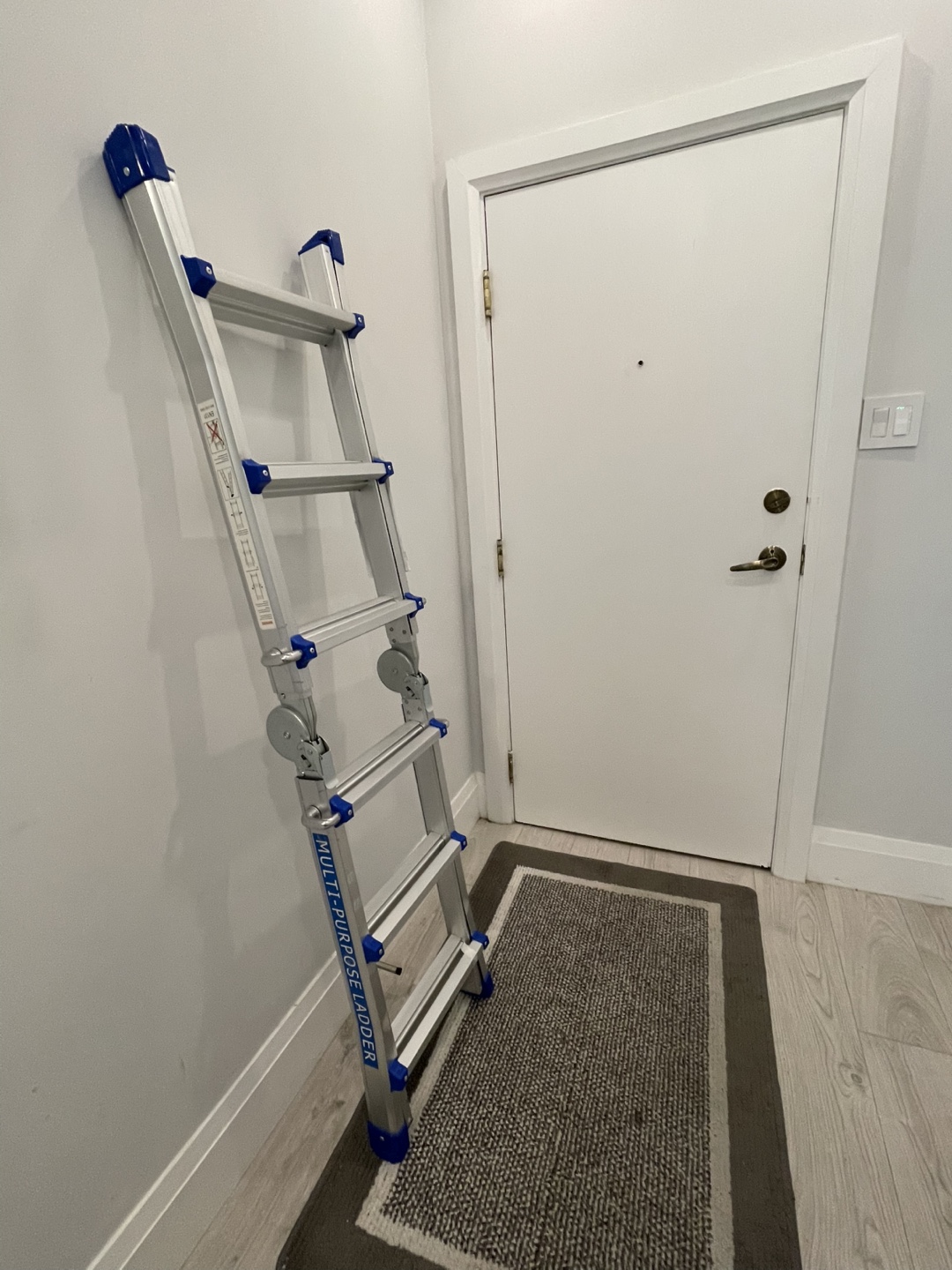 FREE Multi-function Telescopic Ladder